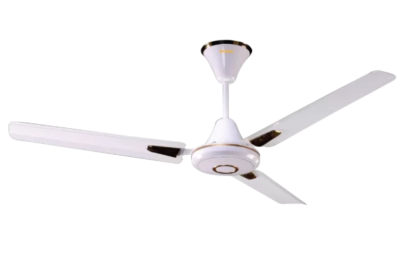 DYNAMIC DECO (1200MM)