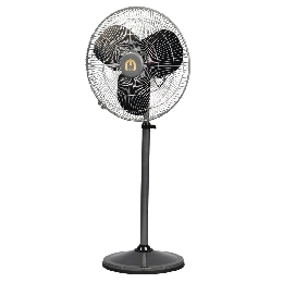 Pedestal Fans
