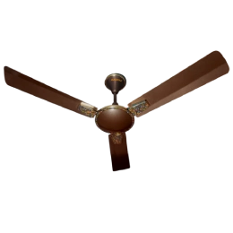 Ceiling Fans